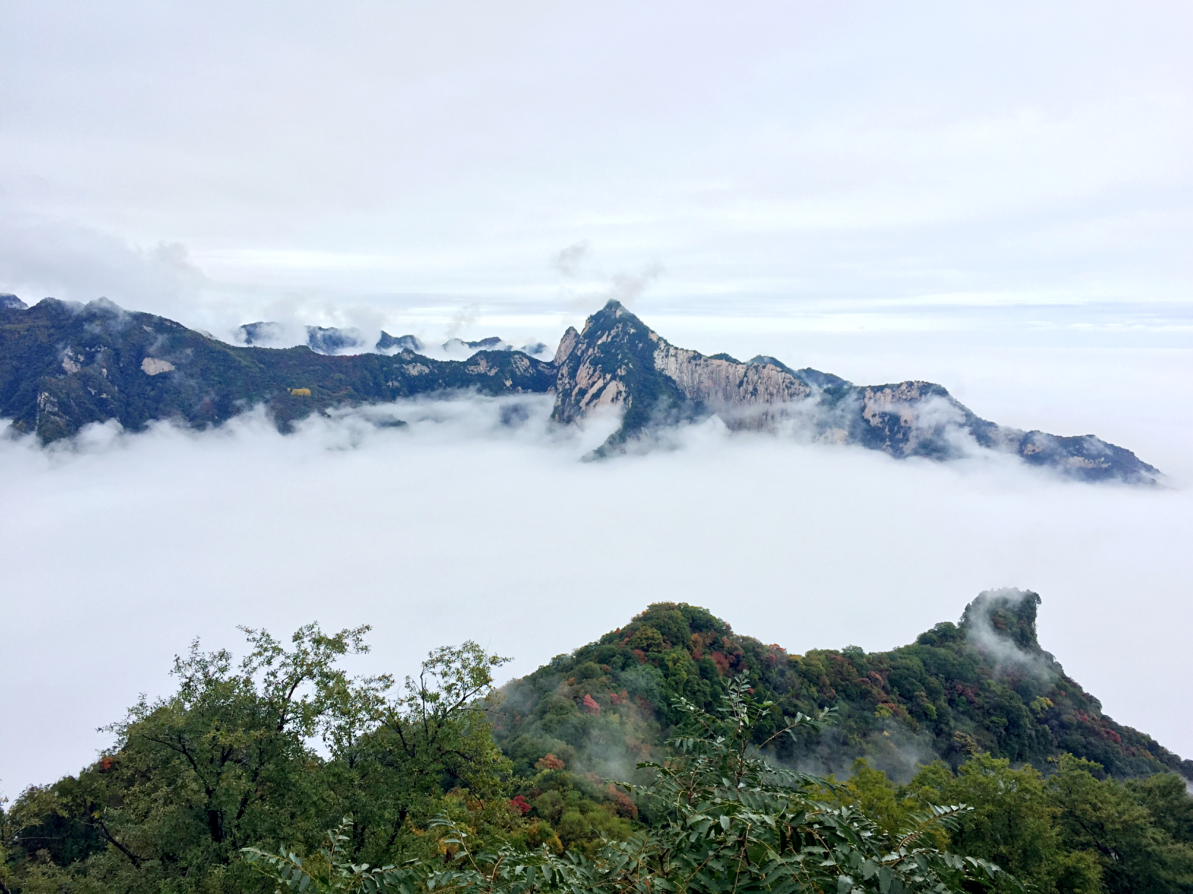 少華山森林公園