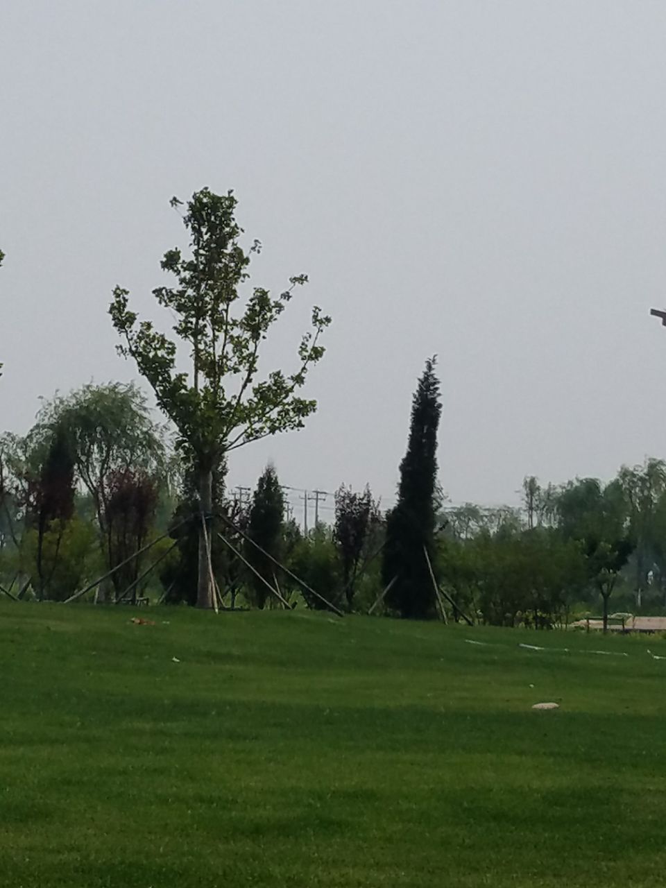 天津遗鸥公园好玩吗,天津遗鸥公园景点怎么样_点评_评价【携程攻略】