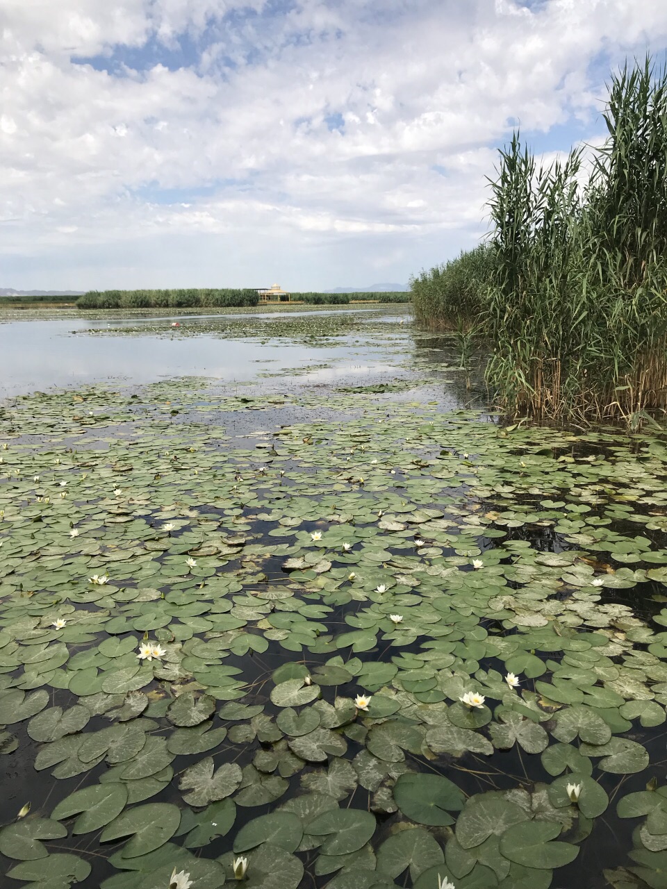 博斯騰湖旅遊景點攻略圖