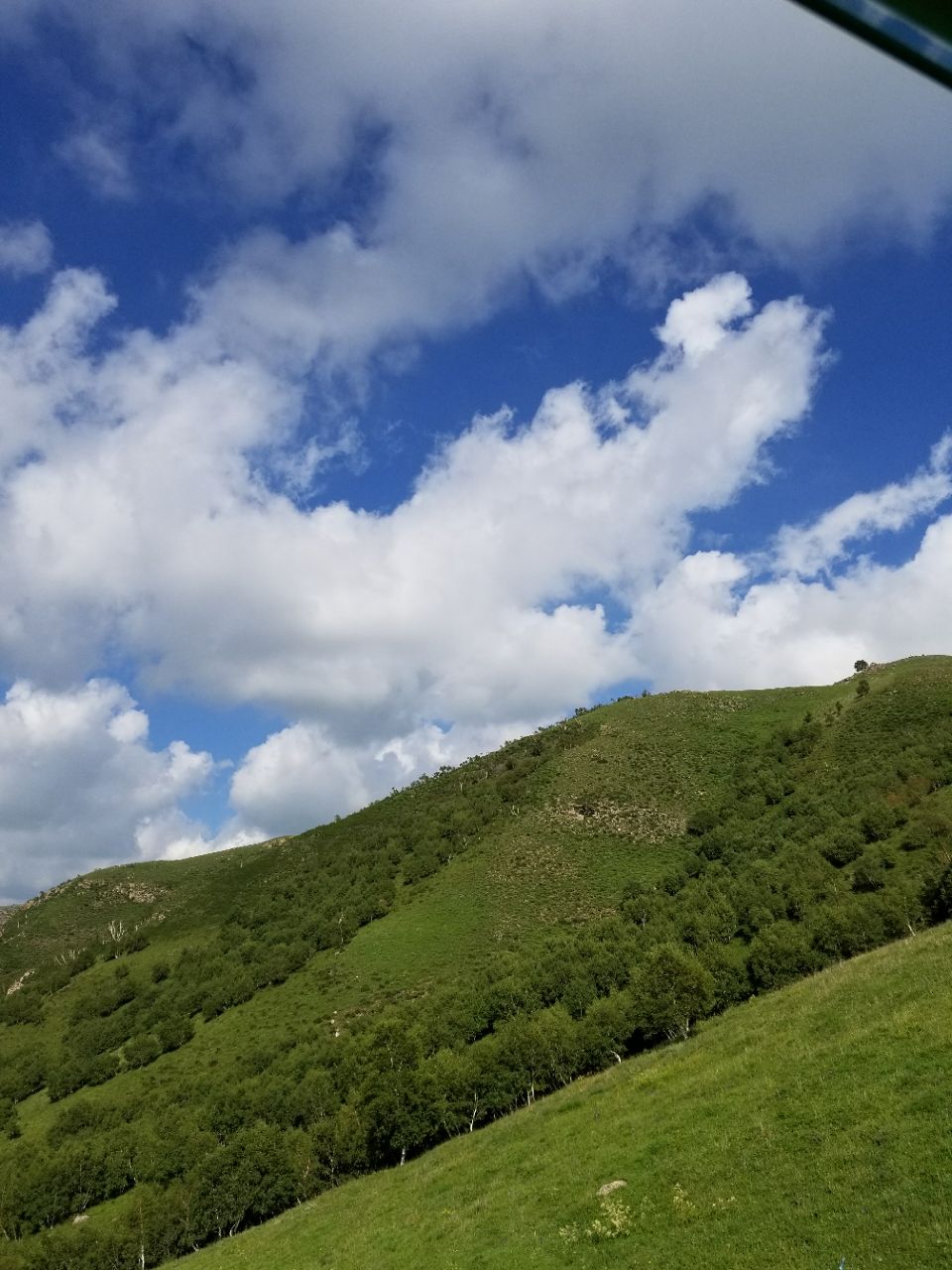 輝騰錫勒黃花溝草原旅遊區