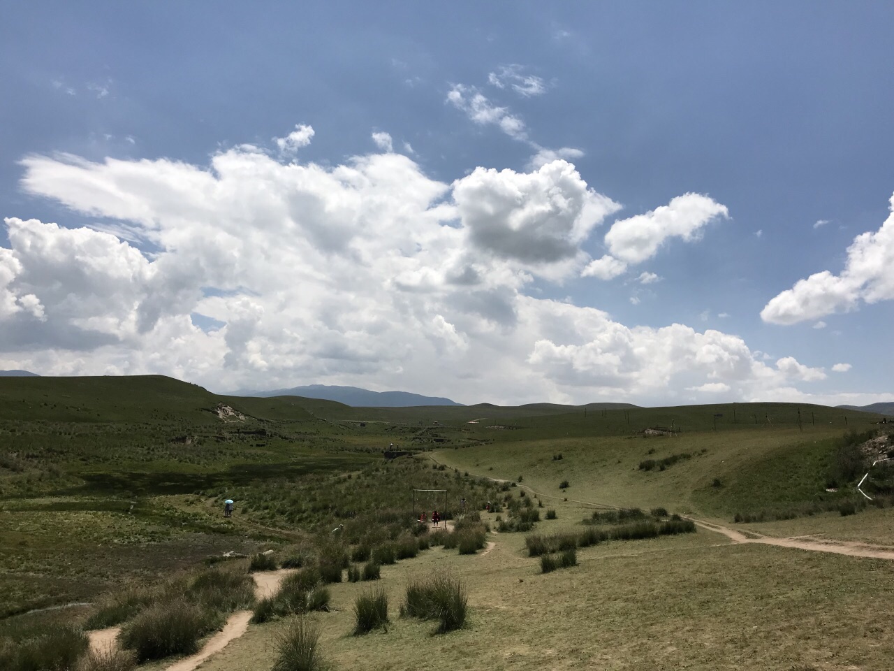 金銀灘草原在海晏境內腹地,北倚祁連山,南臨青海湖,西連熱水灘大草原