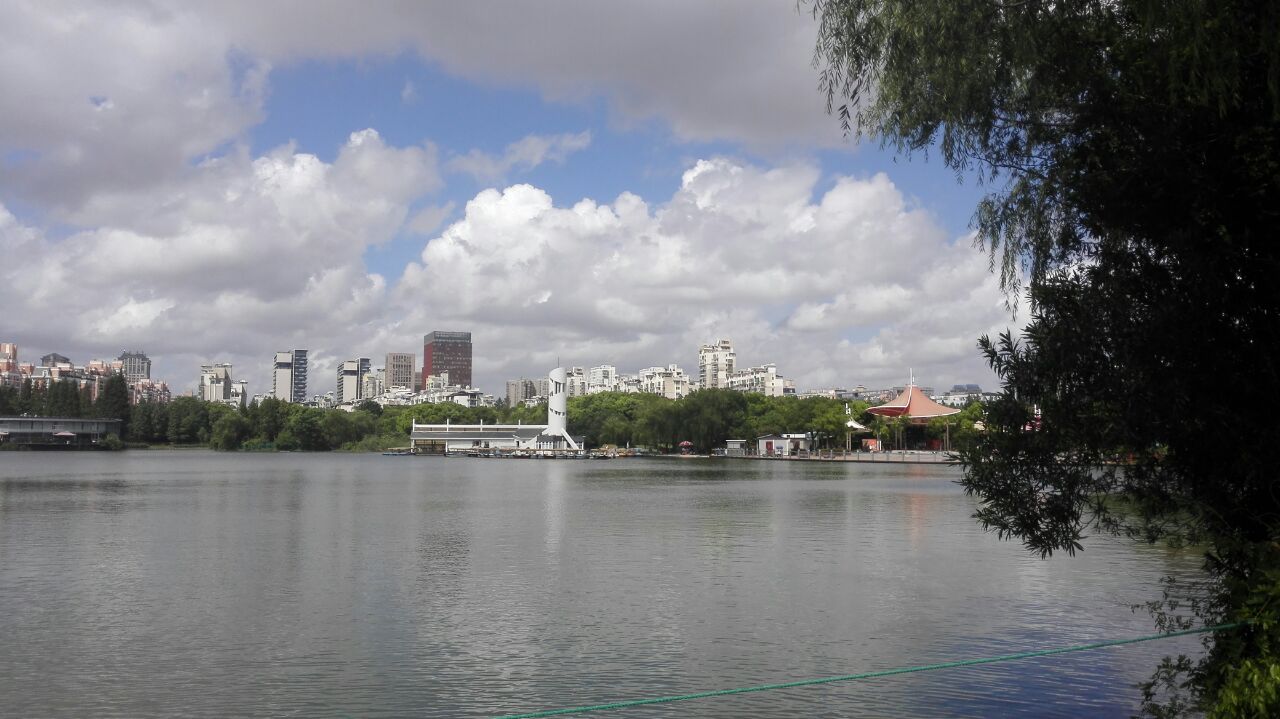 2023黄兴绿地游玩攻略,这里风景很好,拍照很不错.【去哪儿攻略】