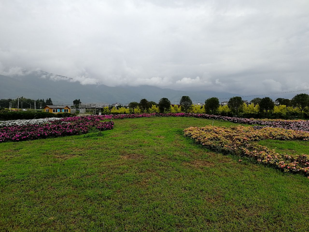 雲海芳草千畝花卉博覽園