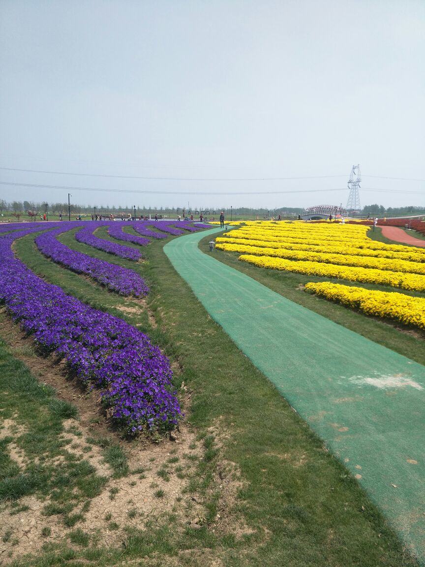 2019伊甸園_旅遊攻略_門票_地址_遊記點評,連雲港旅遊景點推薦 - 去