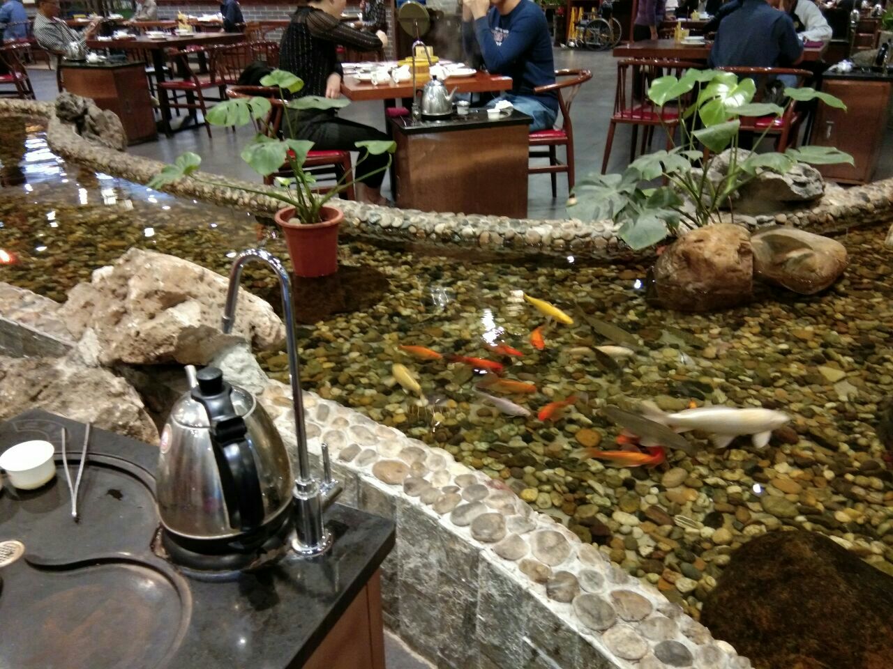 2022丰圆轩粤式茶楼(华强广场店)美食餐厅,锦鲤金鱼相伴是该分店最大