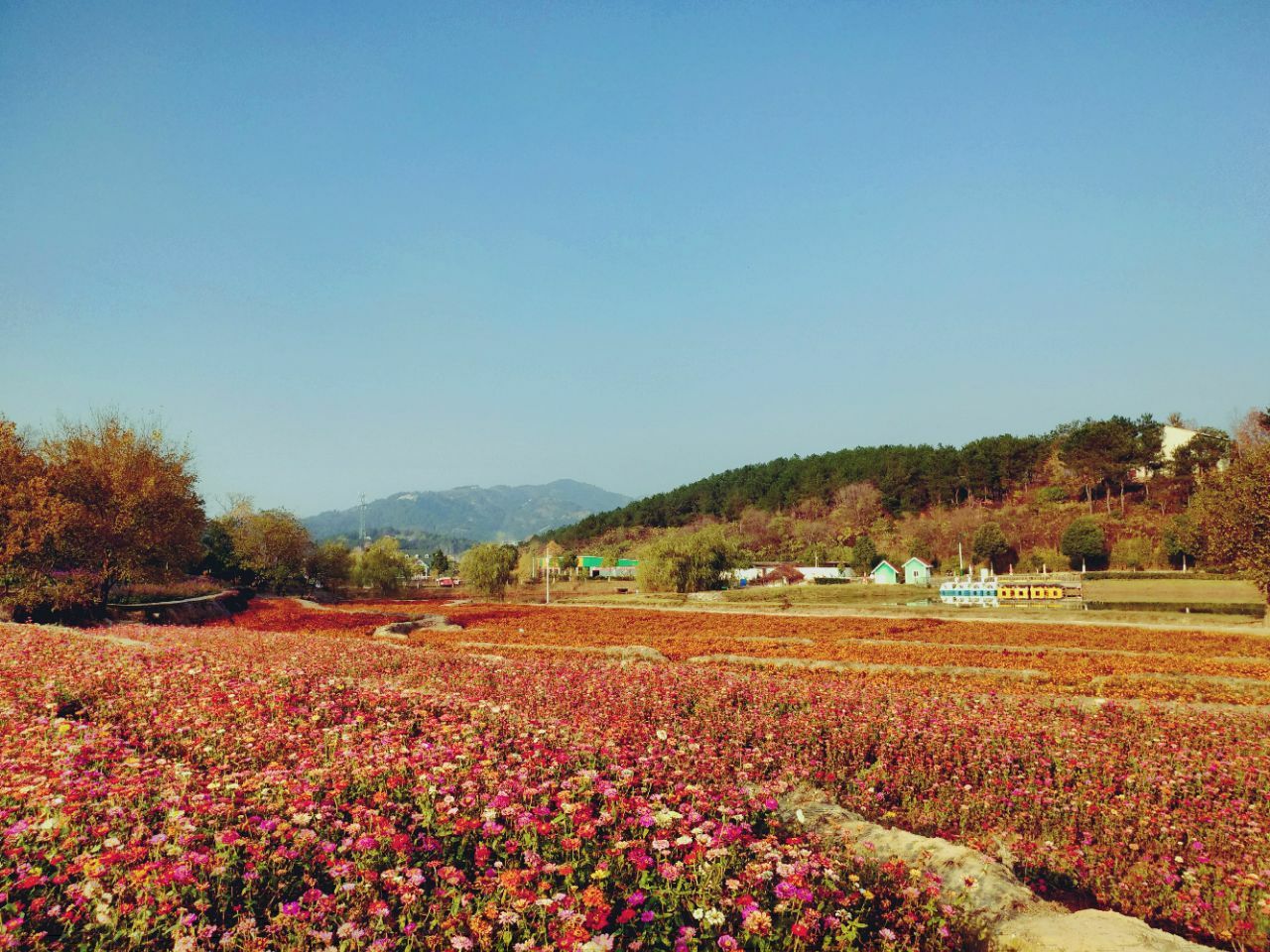 花海樂園旅遊景點攻略圖