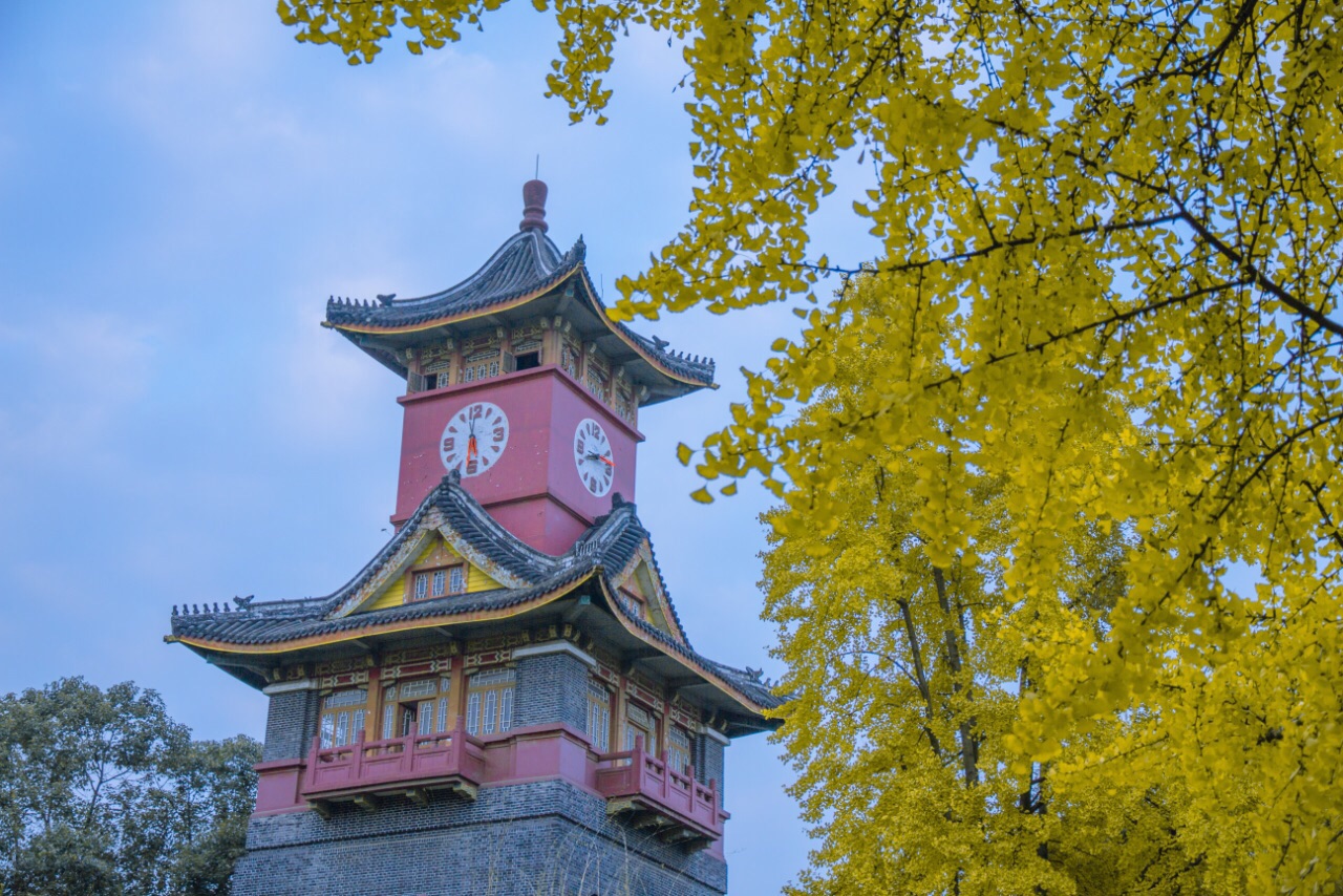 【携程攻略】成都四川大学华西青羊校区景点,夏天时曾经来过川大,看到