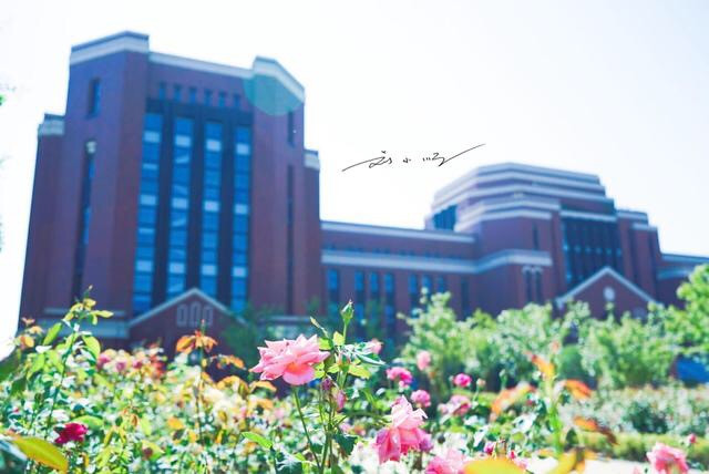 #向往的生活#上海建桥学院：偶像剧里的大学校园