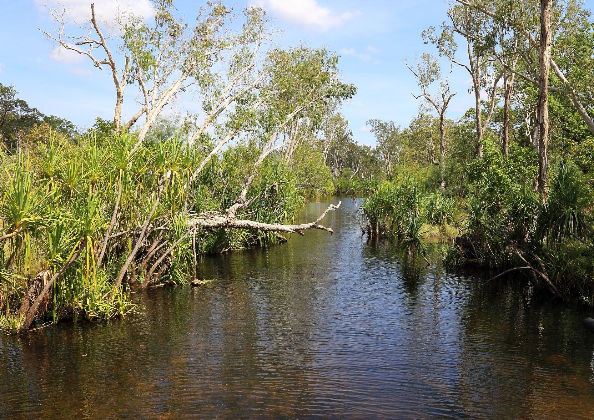 澳大利亚北部地区的尼特米卢克国家公园是一处山清水秀的地方绝对是一