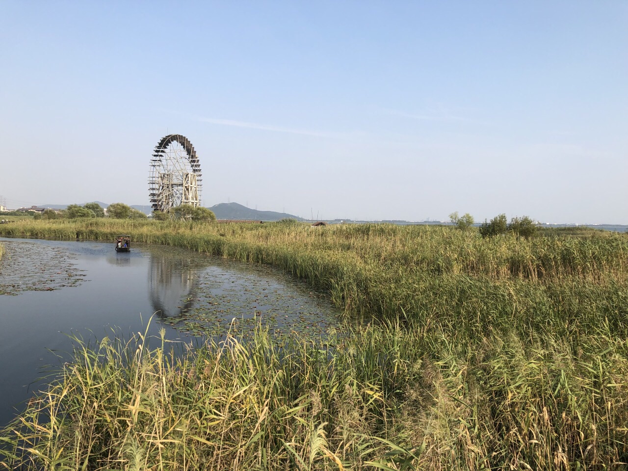 2021蘇州太湖湖濱國家溼地公園遊玩攻略,太湖的蘆葦很漂亮,大家去看