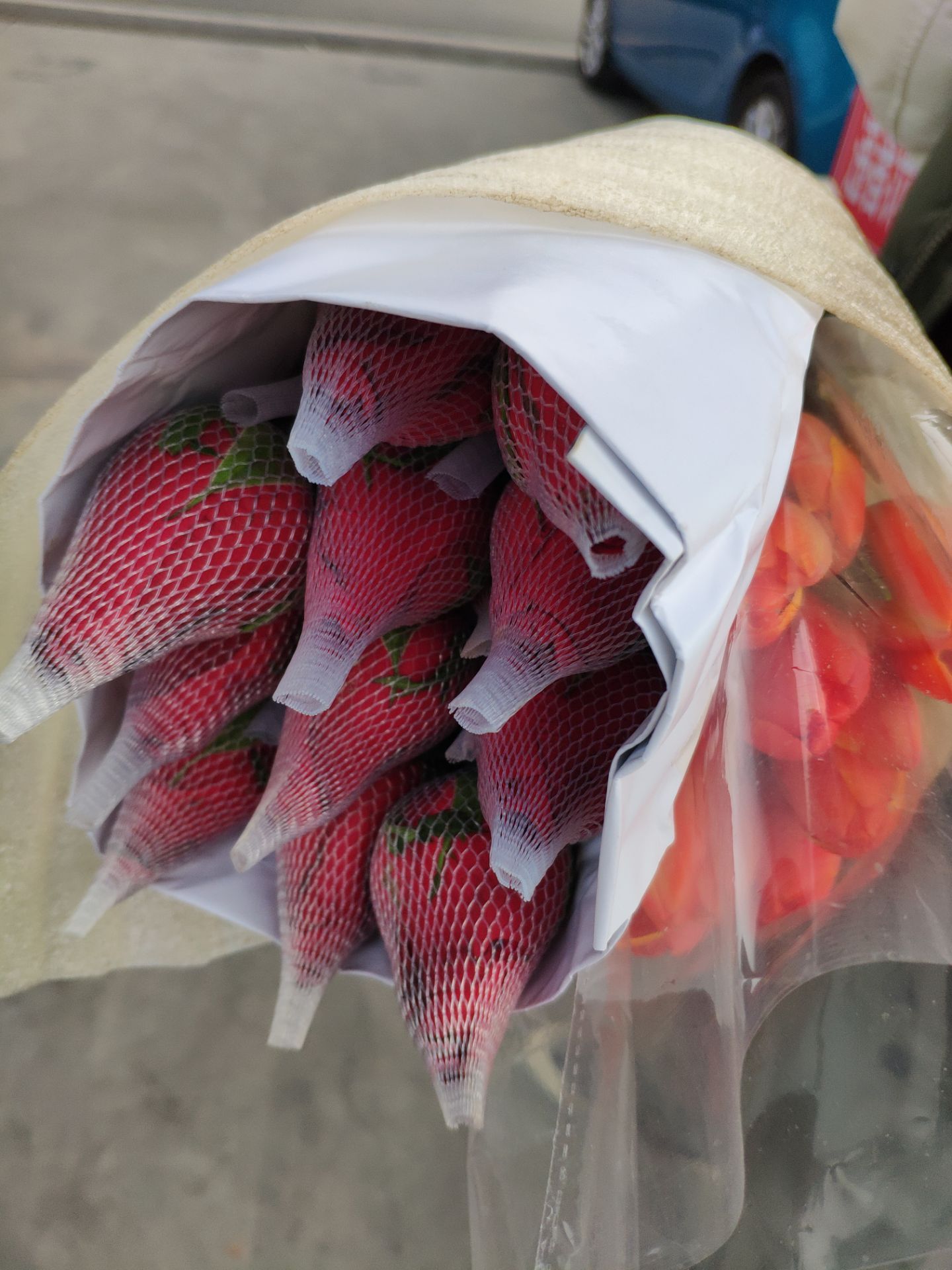 大年初二太阳很大,老弟说出门去玩.想了好久,最后决定去三圣乡买花.