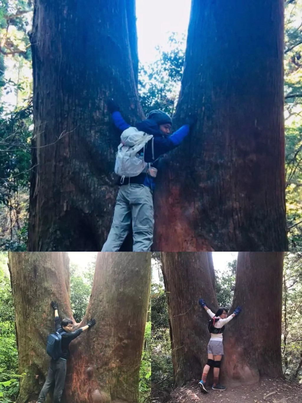 这流年似水无情 世间的温暖却不曾离去 筑波山 筑波市游记攻略 携程攻略