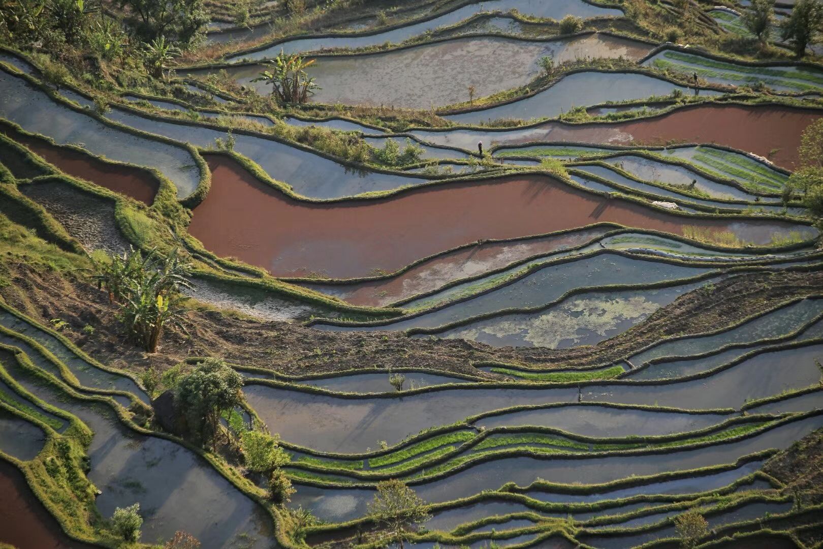 元阳哈尼梯田旅游景点攻略图