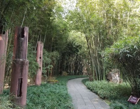 望江公园路线图 100312000000rsi4y6FB0_C_480_375.jpg