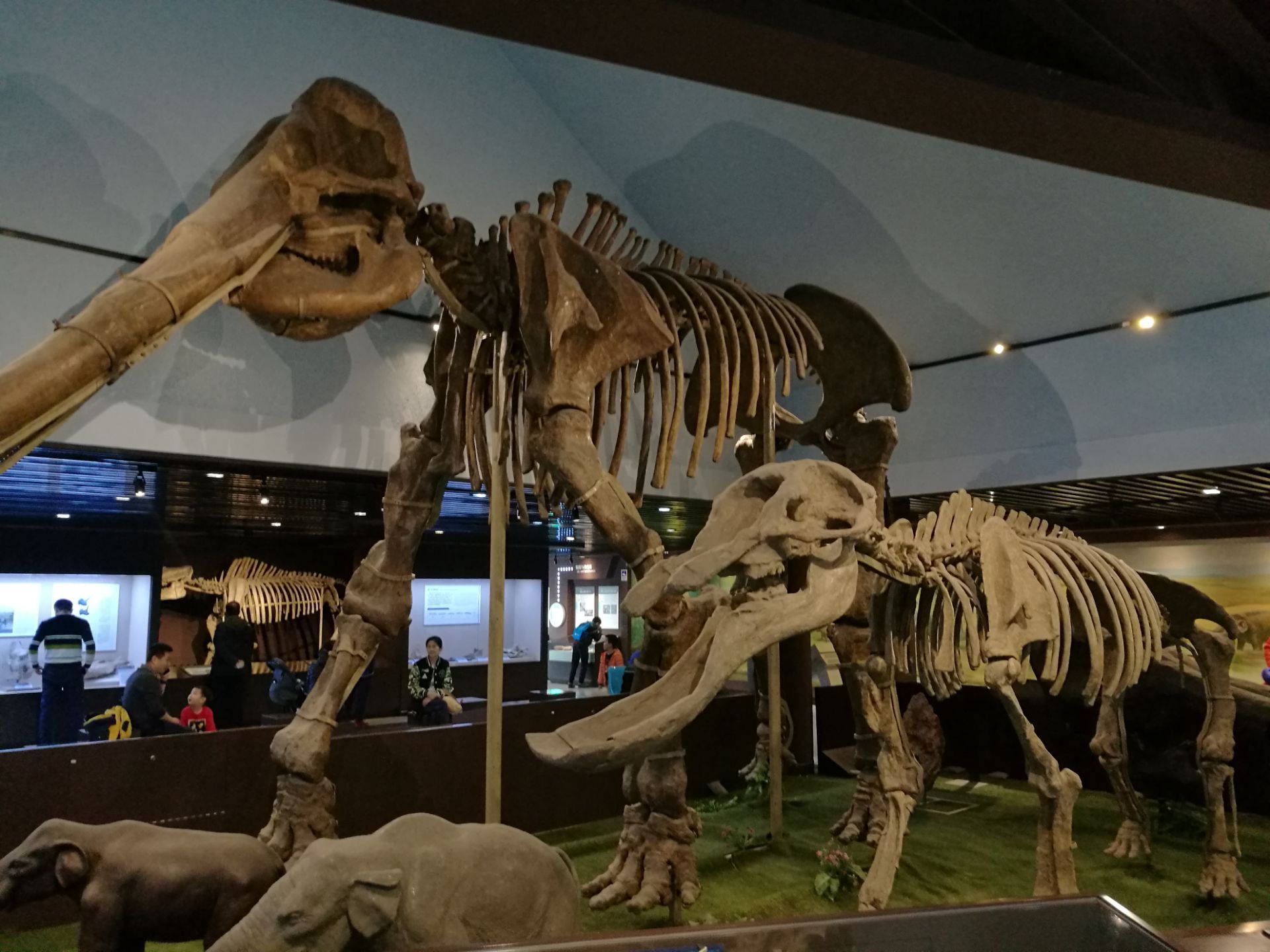 【携程攻略】北京北京自然博物馆景点,博物馆里分几个展区，恐龙有专门的展区，还有一个恐龙公园，模仿真恐…
