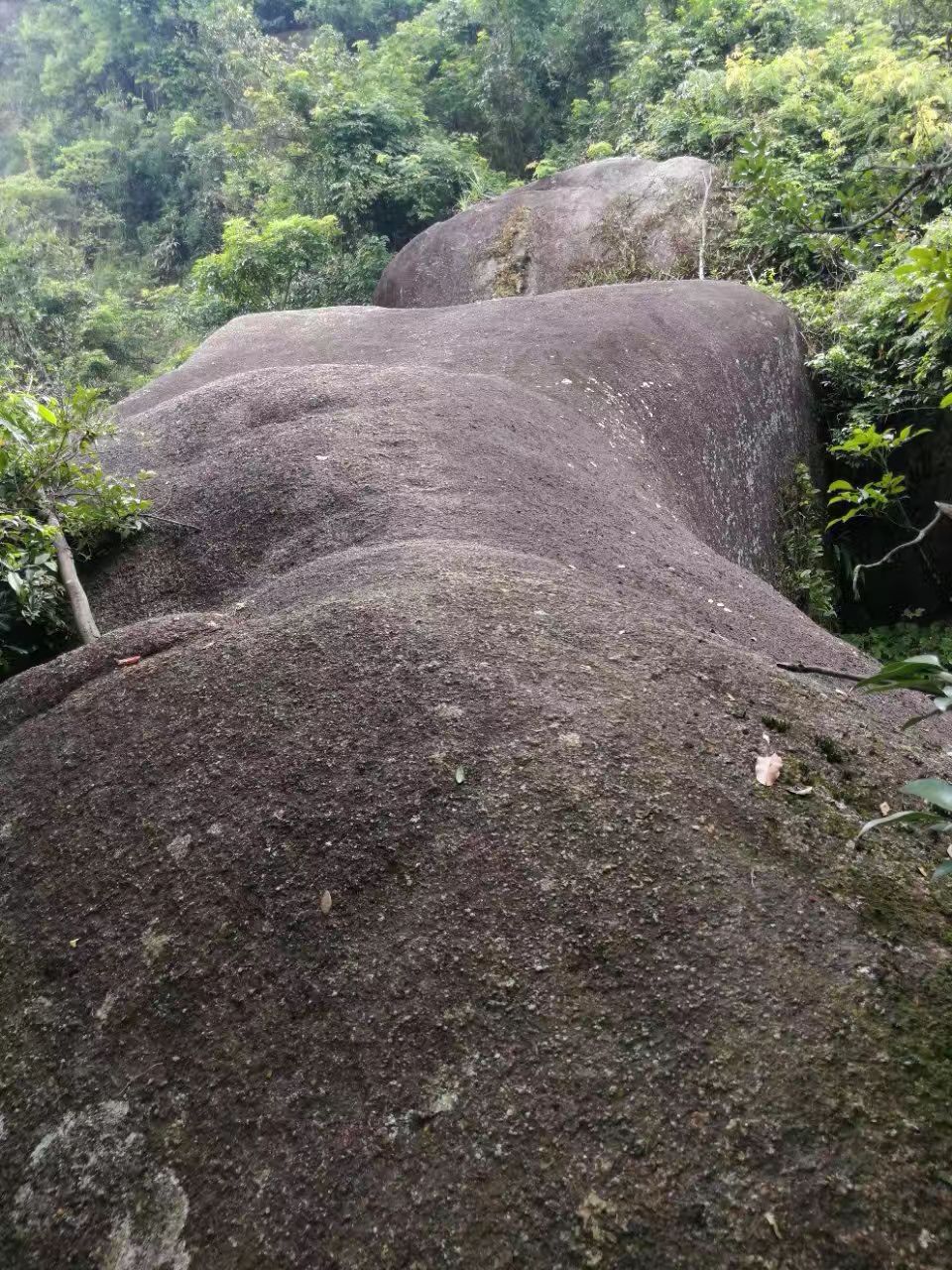 2025牛牯嶂生态露营地玩乐攻略,牛牯嶂生态露营地是众多驴友