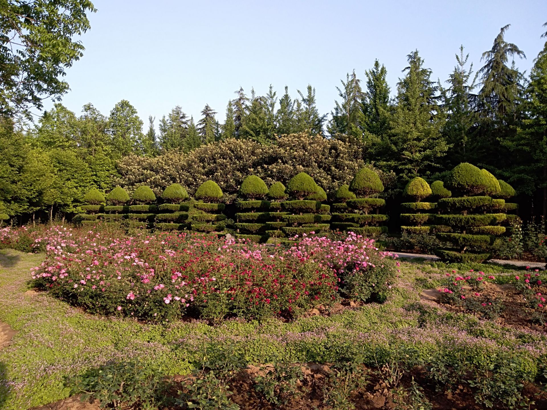 2023隋唐城遗址植物园游玩攻略,...多漂亮的正在盛开的鲜花，...【去哪儿攻略】