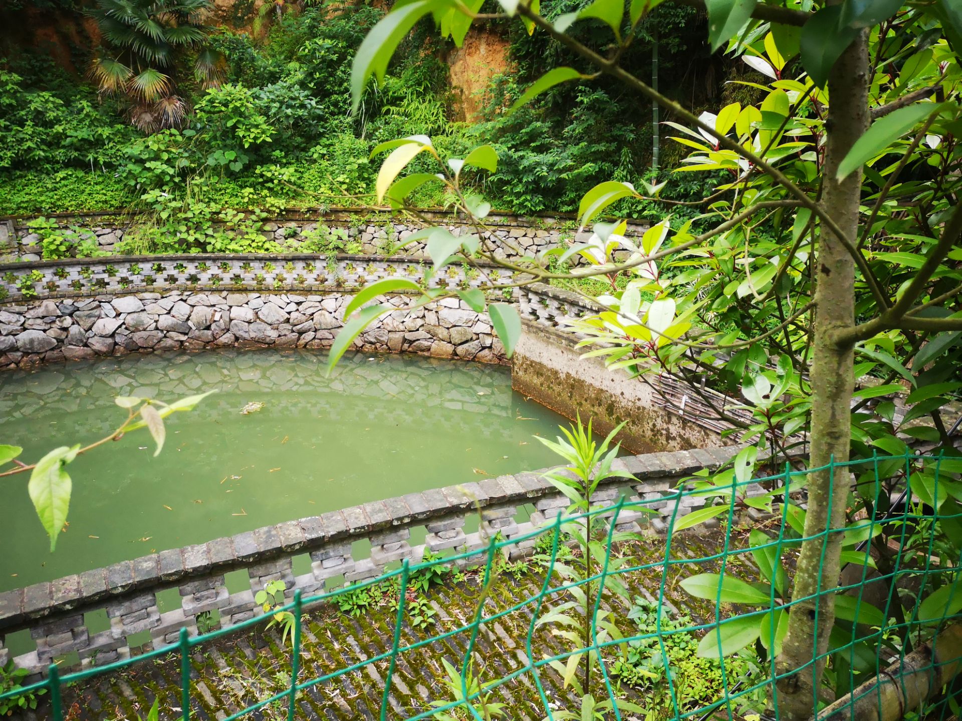 马岙旅游区图片