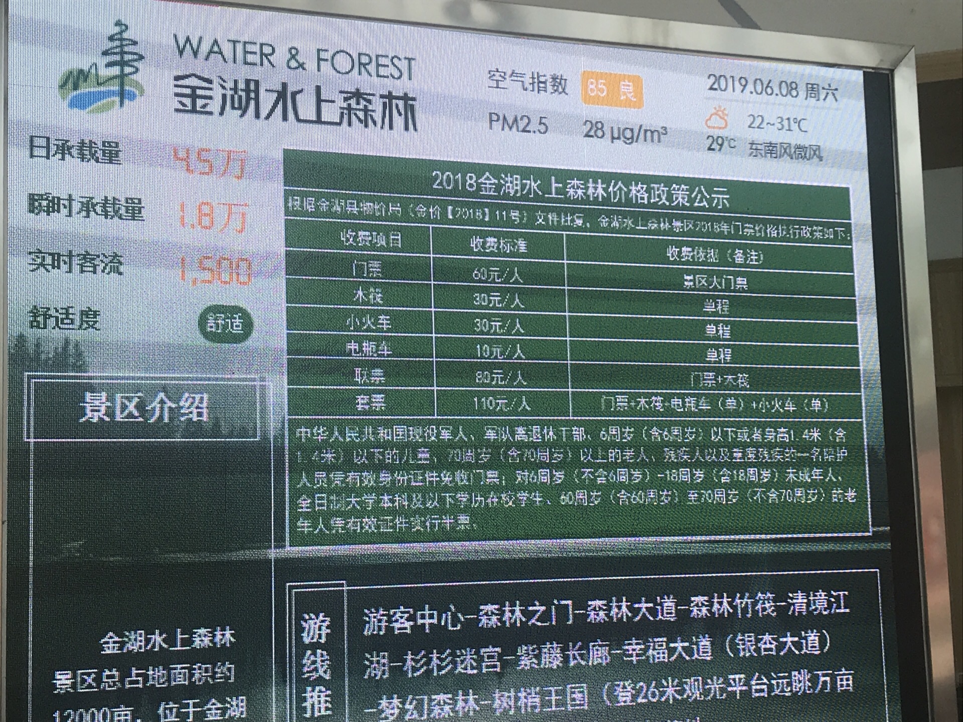 金湖水上森林公园