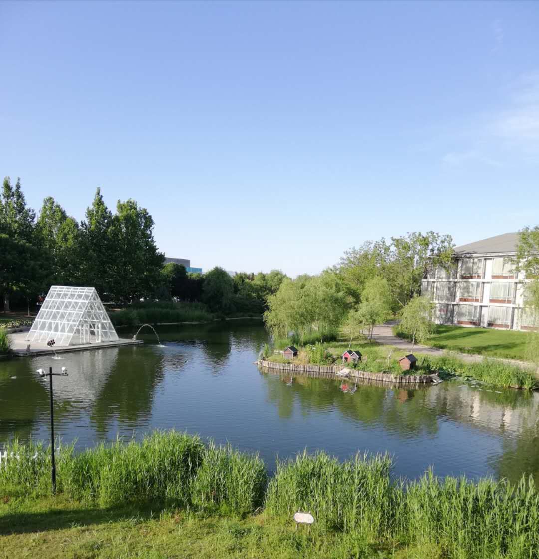 北京稻香湖景酒店(临溪咖啡厅)好吃吗,稻香湖景酒店(临溪咖啡厅)味道