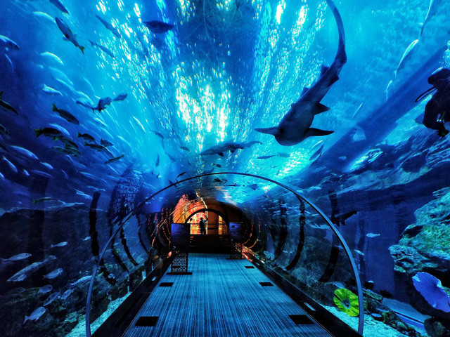 攻略篇:一分钟带你游遍蓬莱海洋极地世界! - 烟台蓬莱旅游攻略大全 - 