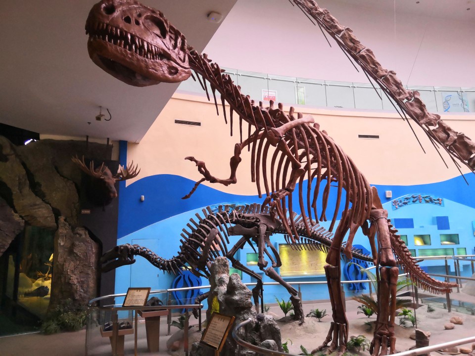 陕西自然博物馆