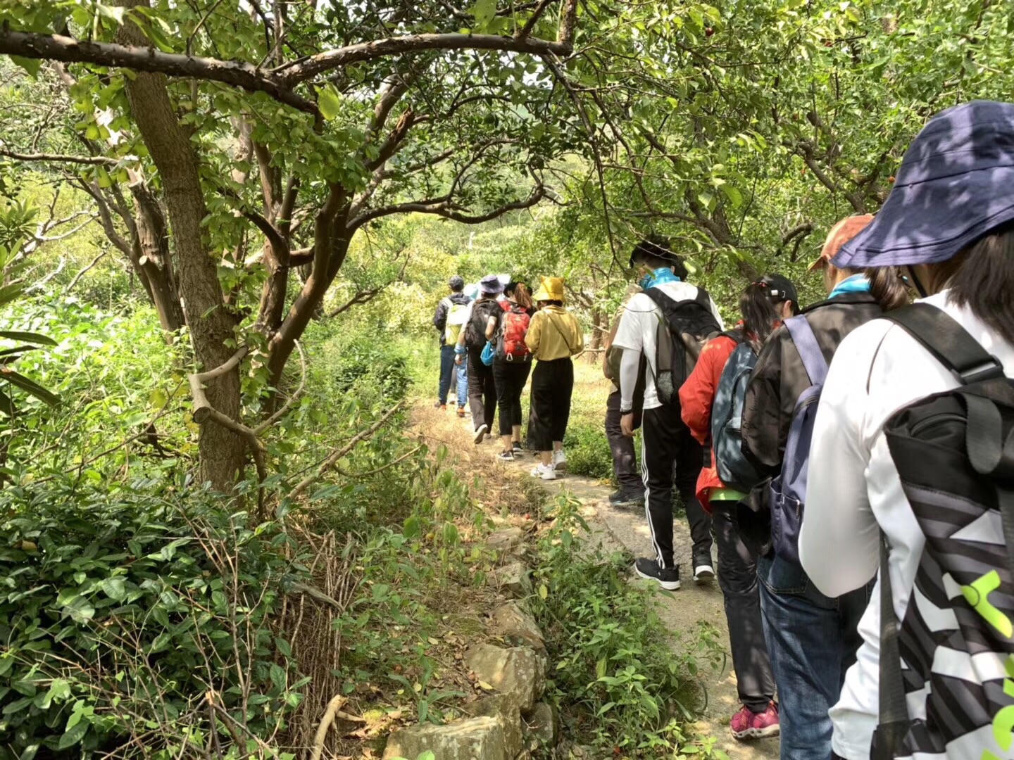 建議大家最好帶好登山杖這樣爬山,這次就是跟團遊跟著大部隊一起走