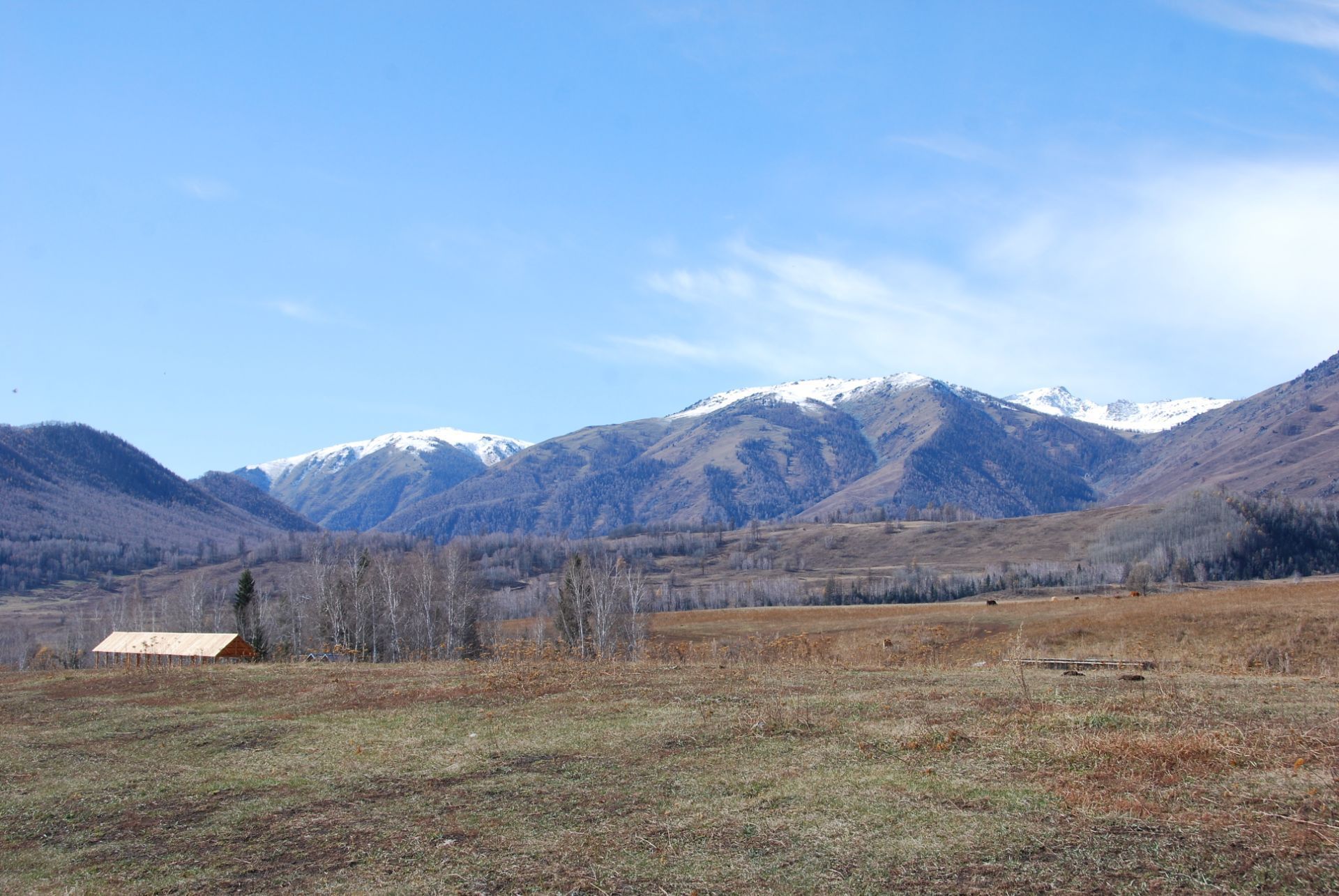 禾木草原位于布尔津县喀纳斯景区的禾木乡禾木村,是喀纳斯景区中的一