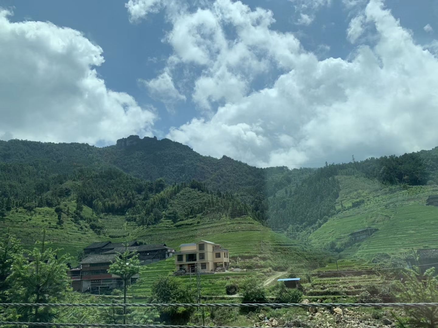 2020猪婆山森林公园游玩攻略,.值得过来看,尤其是绿化面.