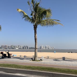 中山大学珠海校区