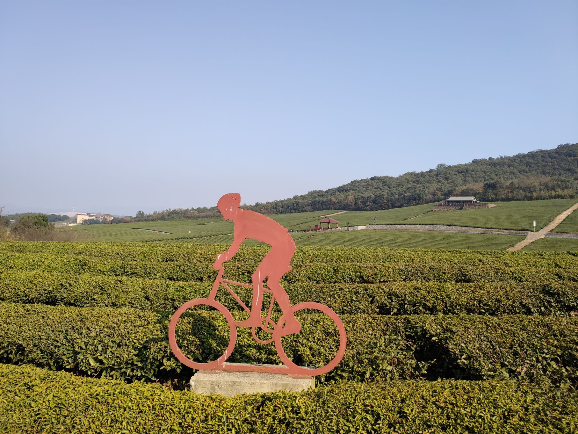 龙池山 自行车图片