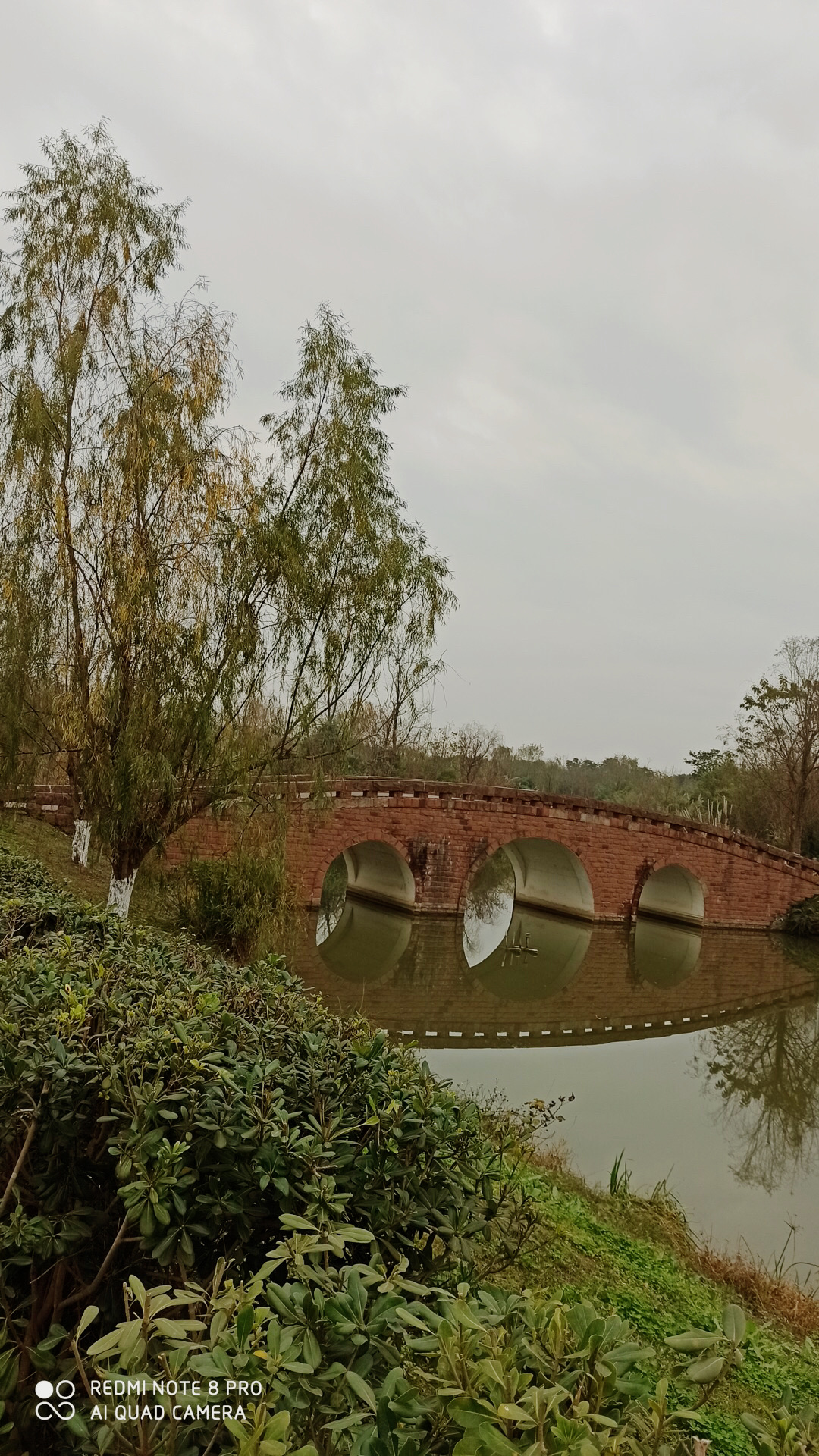 锦江白鹭湾生态湿地公园