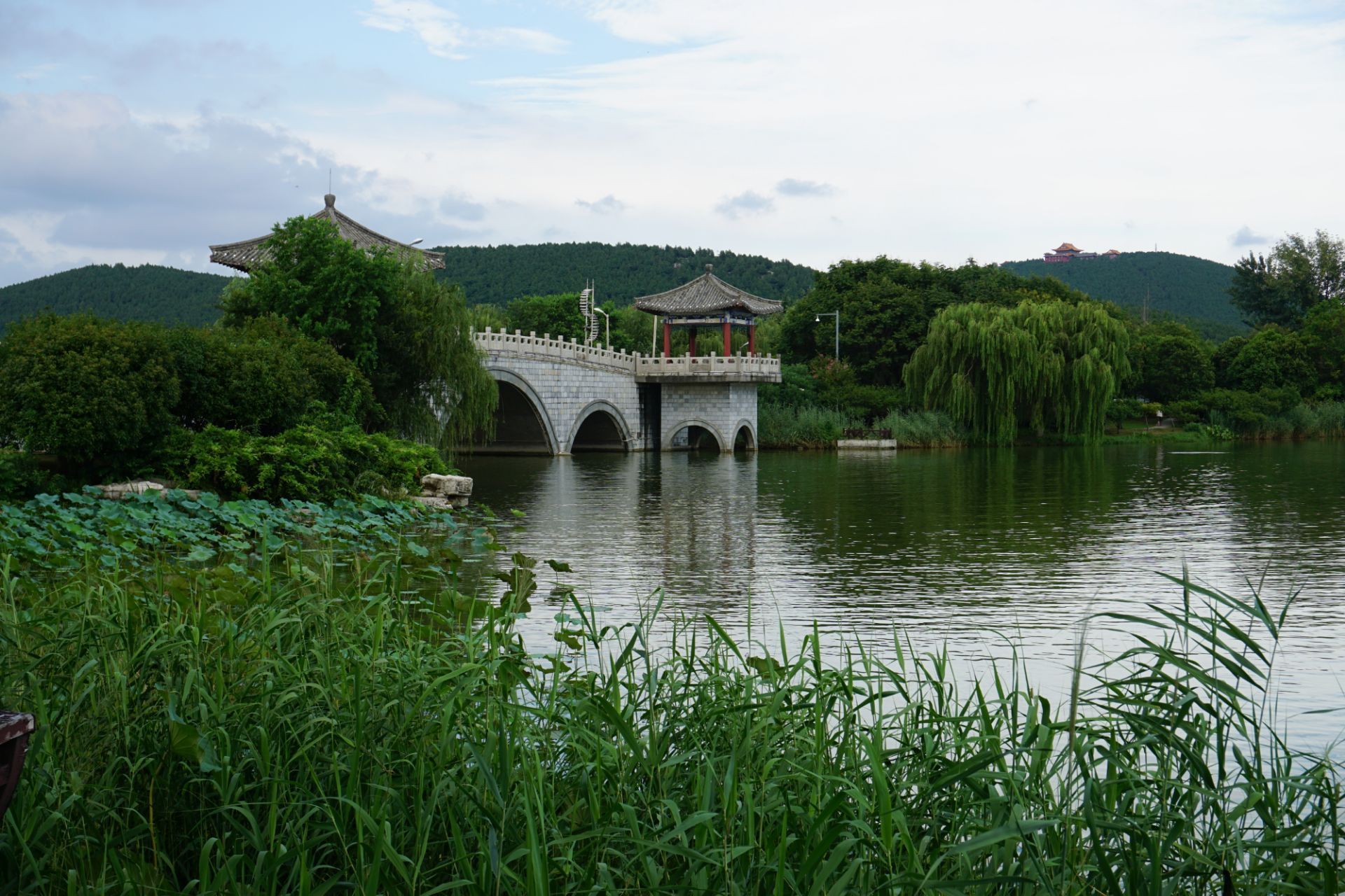 泰州黄桥小南湖风景区图片