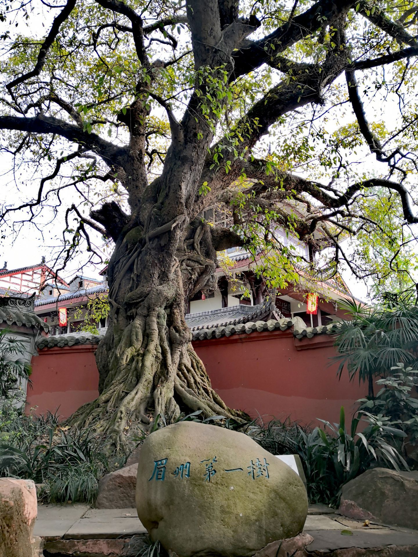 【携程攻略】眉山三苏祠景点,满满的文化气息,闹中取静,精致的园林,面