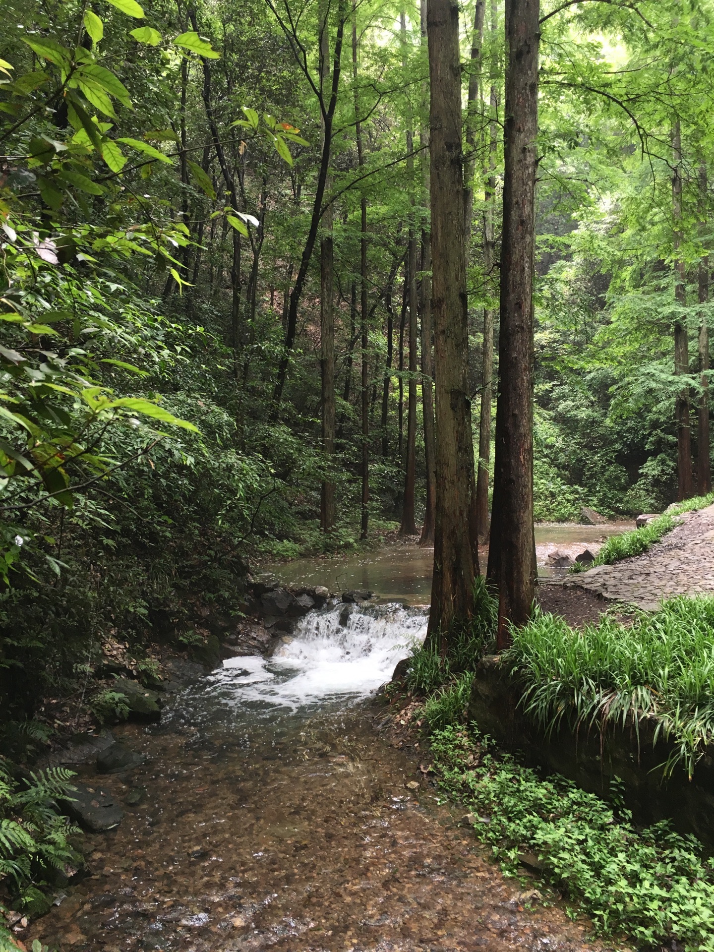 杭州九溪煙樹攻略,杭州九溪煙樹門票/遊玩攻略/地址/圖片/門票價格