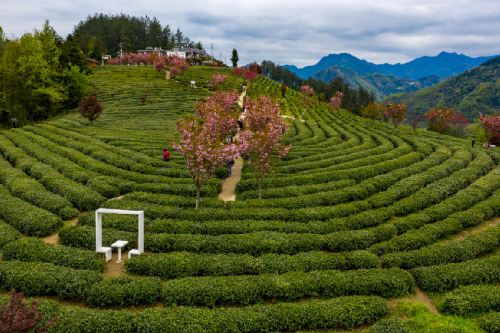 紫阳紫阳县图书馆攻略-紫阳县图书馆门票价格多少钱-团购票价预定优惠