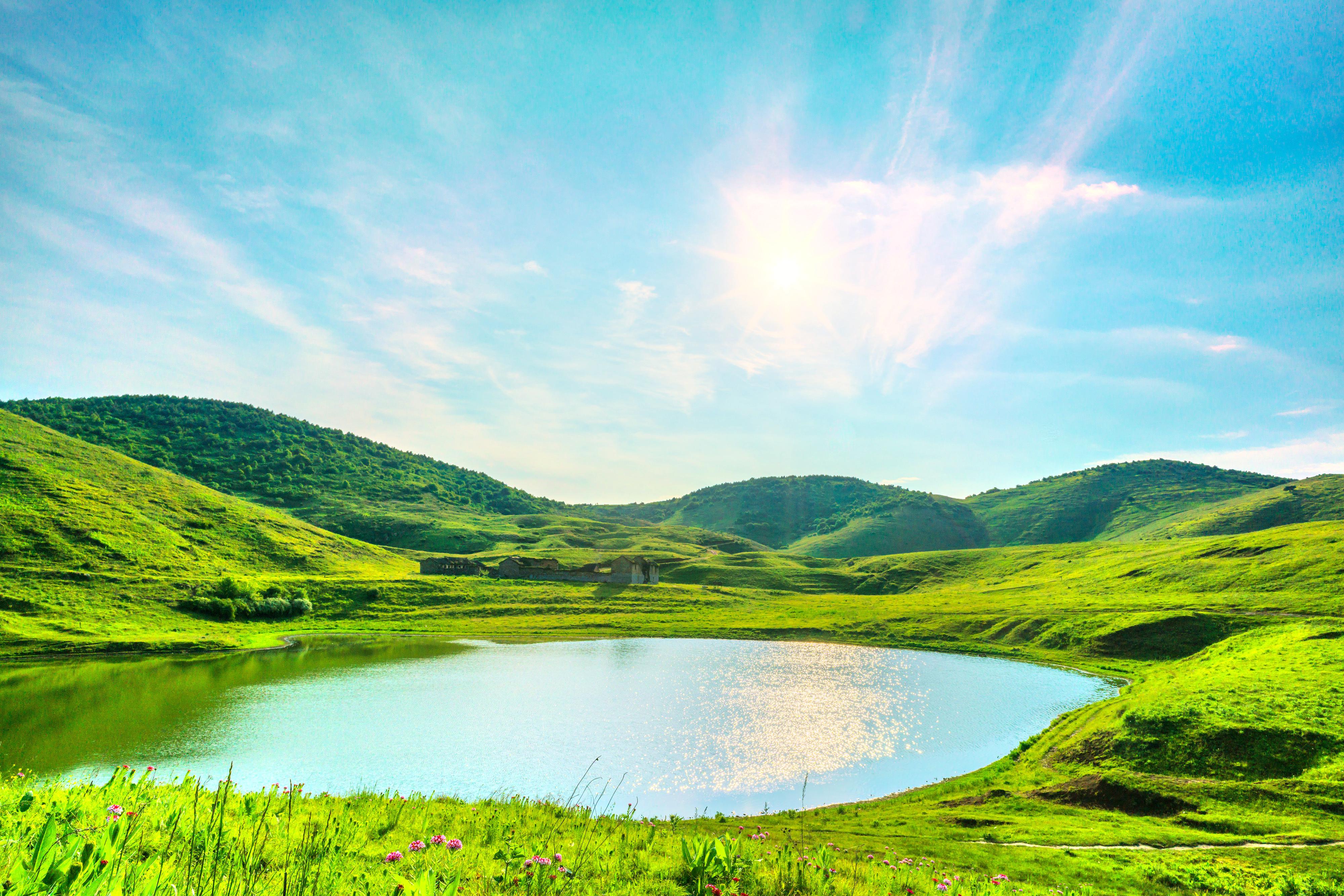 东坡头森林公园