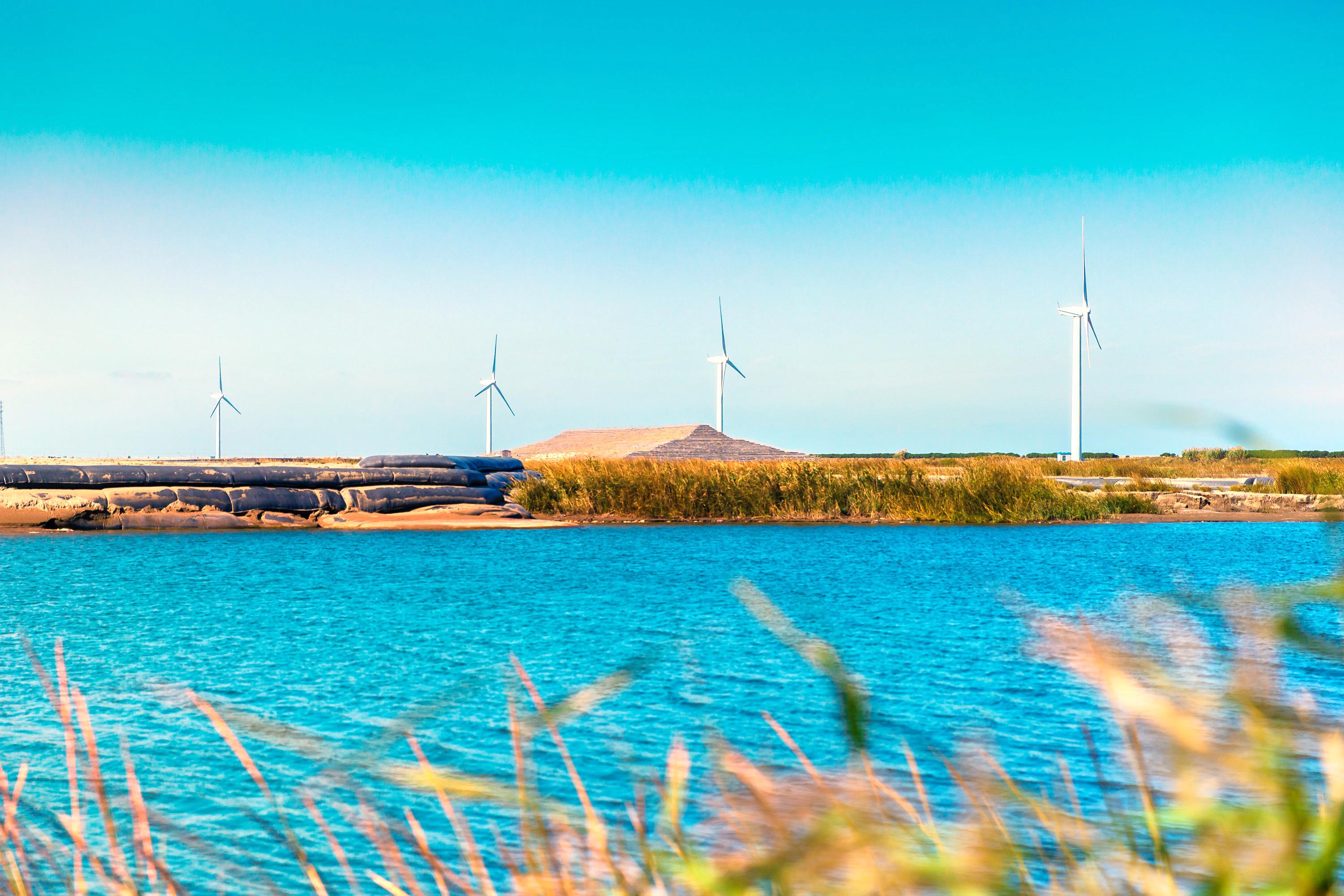 启东黄金海滩风景区-湿地迷宫攻略,启东黄金海滩风景区-湿地迷宫门票/游玩攻略/地址/图片/门票价格【携程攻略】