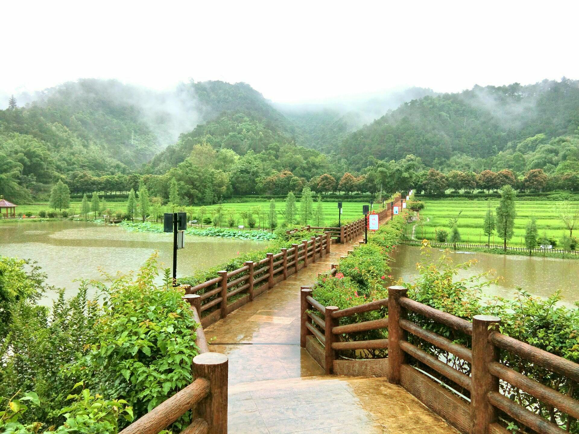 雲浮大雲霧山旅遊區攻略,雲浮大雲霧山旅遊區門票/遊玩攻略/地址/圖片