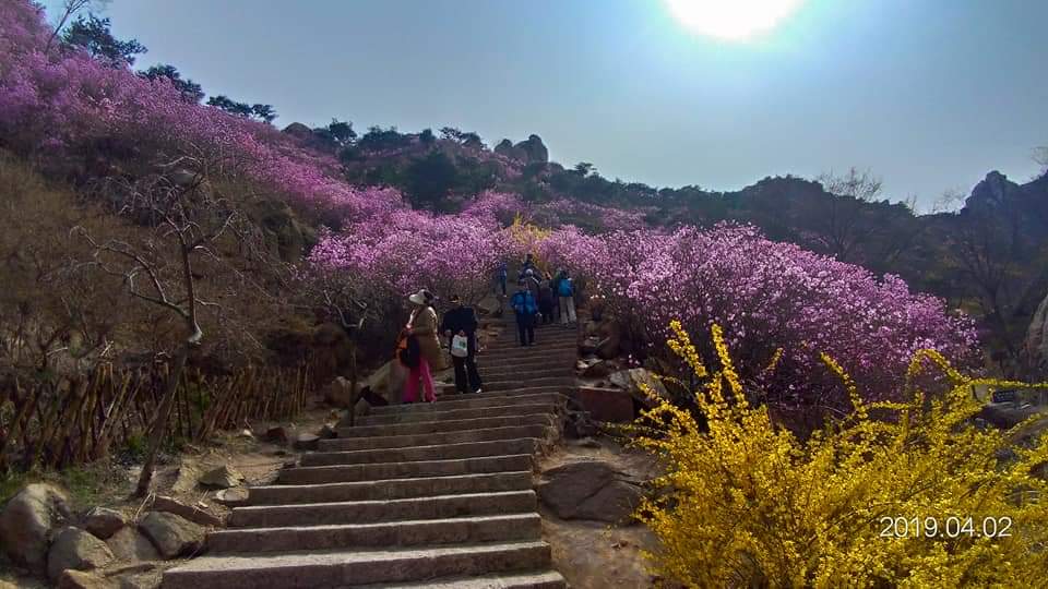 青島大珠山風景區攻略,青島大珠山風景區門票/遊玩攻略/地址/圖片