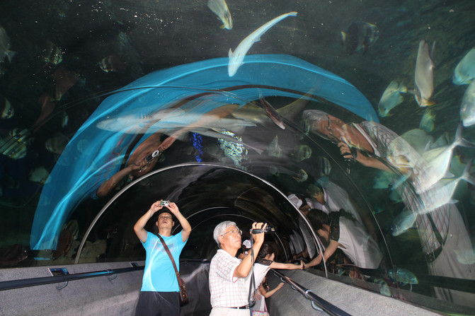 东北自驾游46:大连--滨海路、星海广场及圣亚海洋世界