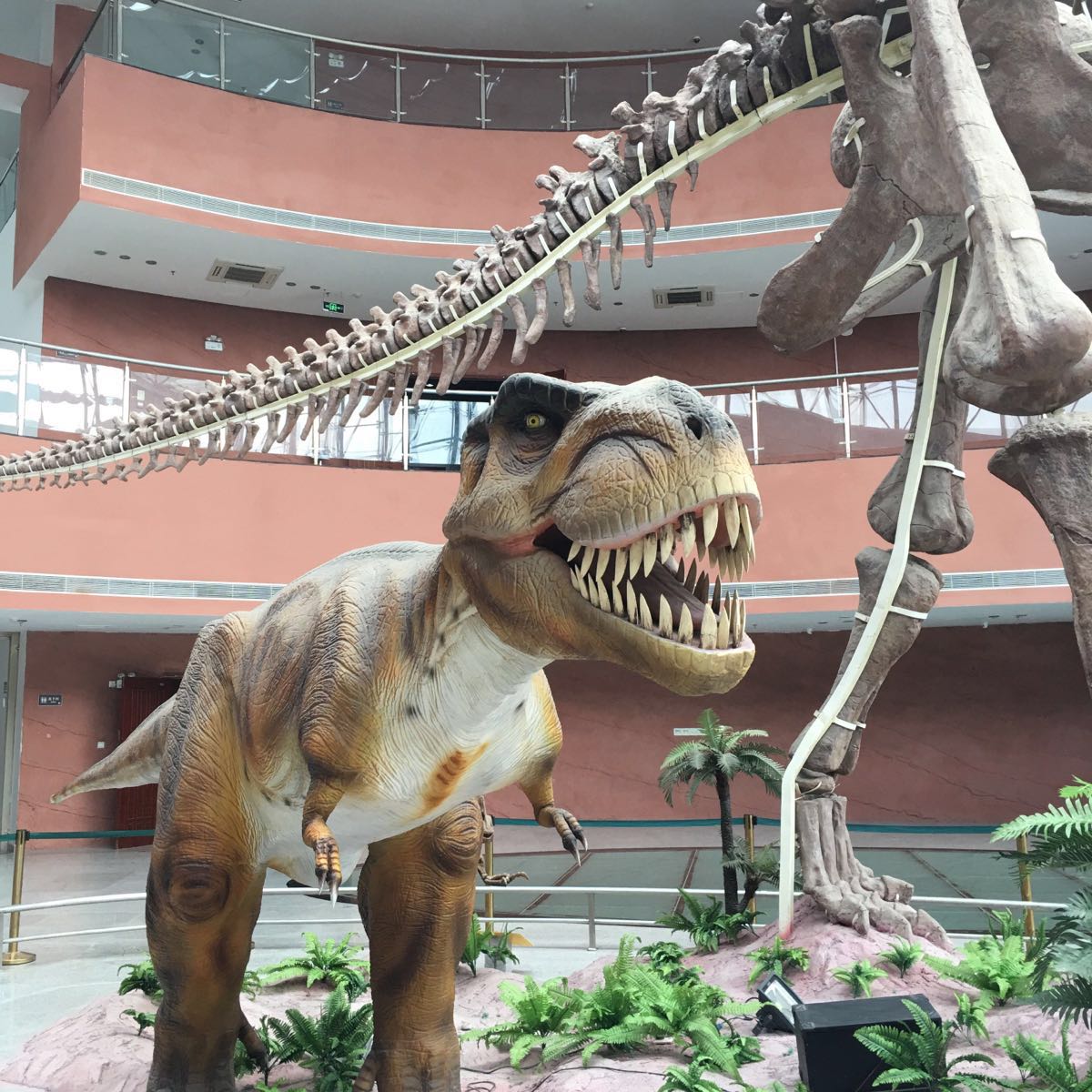 延吉恐龙博物馆获批吉林省科普基地 - 延边新闻网