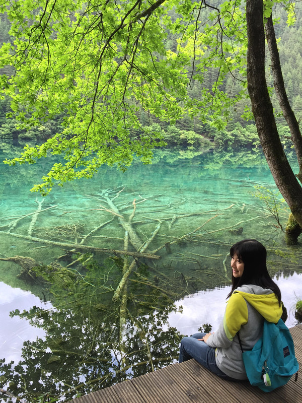 探索东莞旅游新风尚—旅行社助力旅行梦想起航