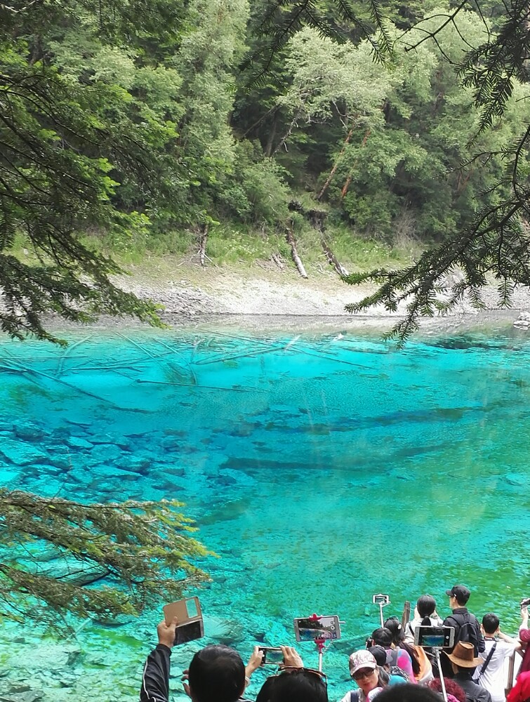 2019五彩池_旅遊攻略_門票_地址_遊記點評,九寨溝旅遊景點推薦 - 去