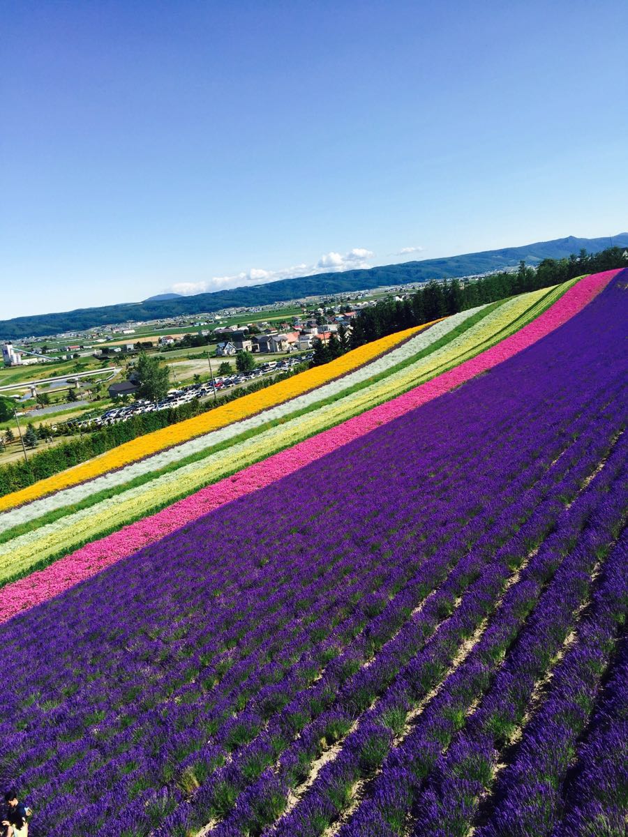 富良野