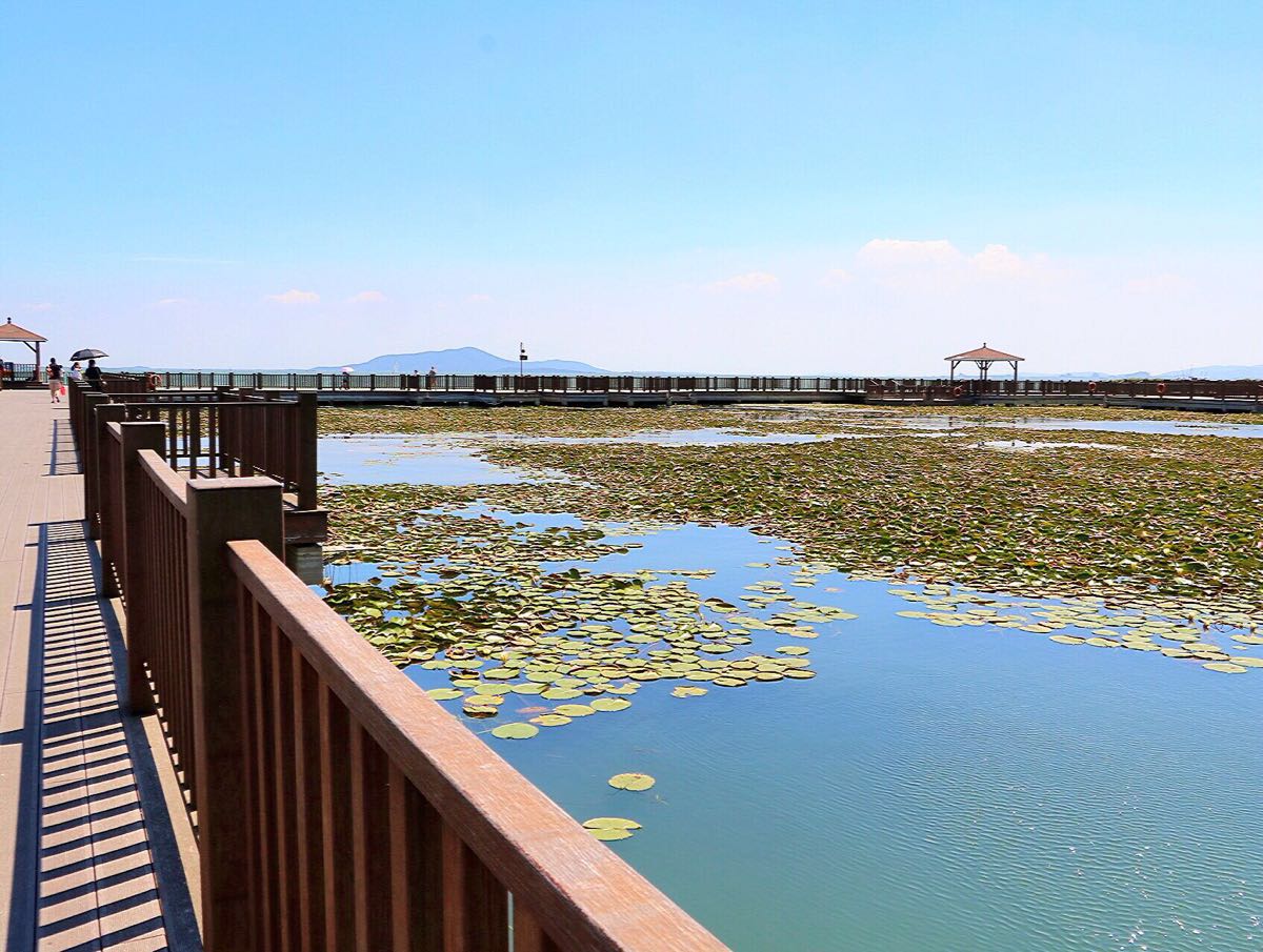 太湖新天地生态休闲公园图片