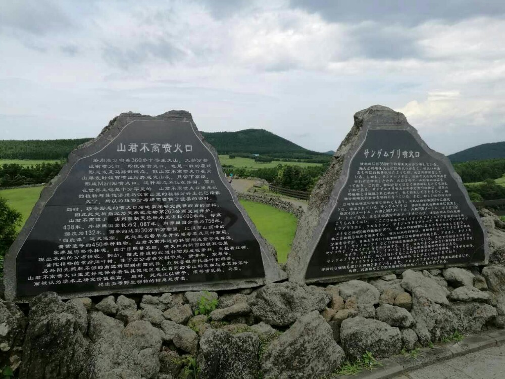 在济州岛中部,包车途中就发现济州中部的草原景