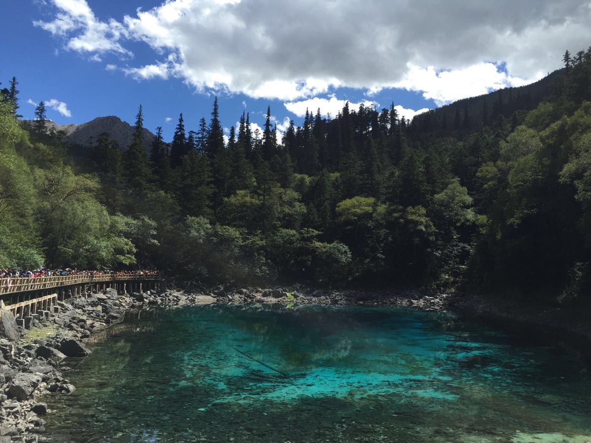 2019五彩池_旅遊攻略_門票_地址_遊記點評,九寨溝旅遊景點推薦 - 去