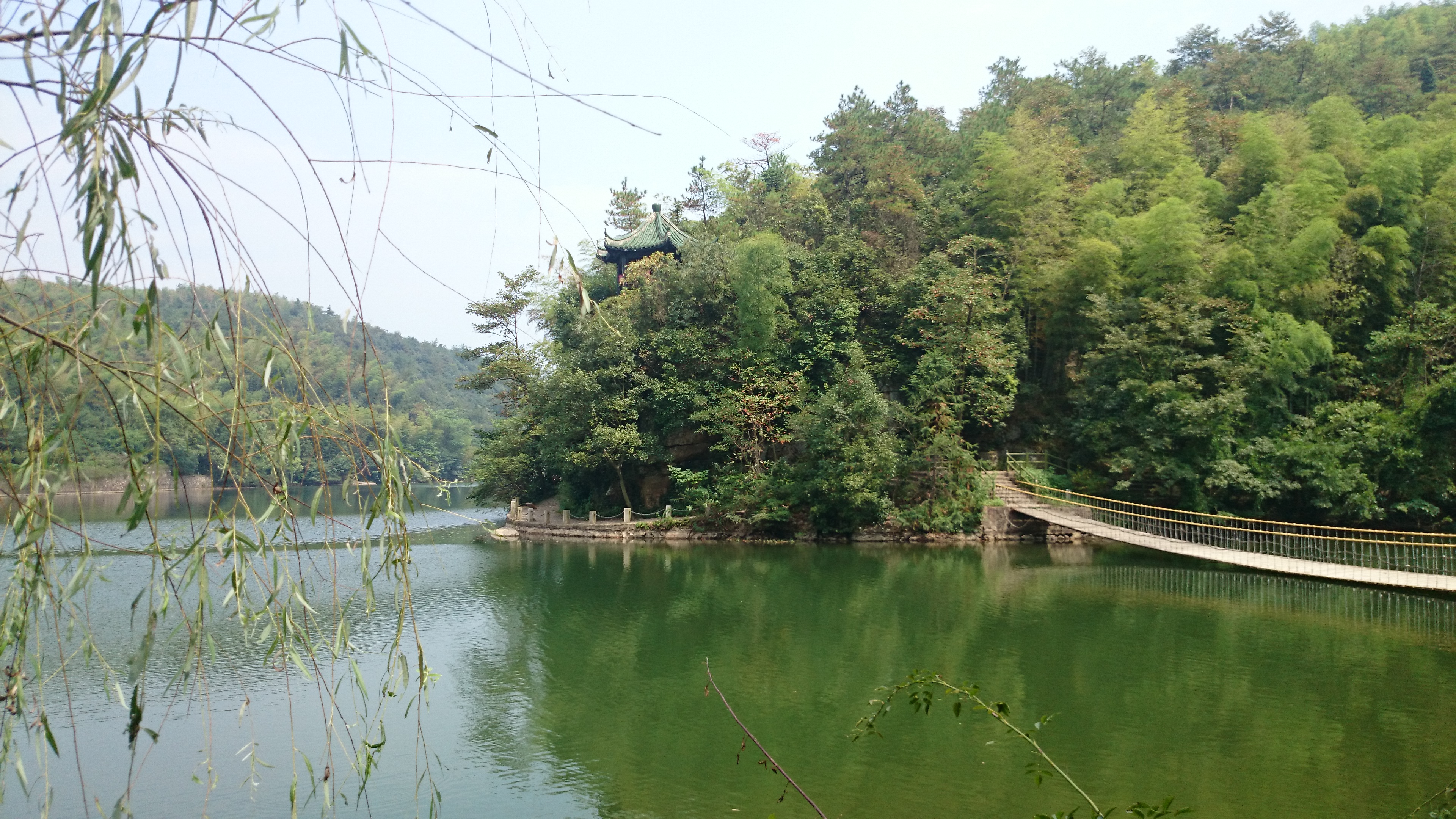 宜兴宜兴竹海景点,跟团游来到了宜兴竹海,景区非常大,竹子连成了海洋