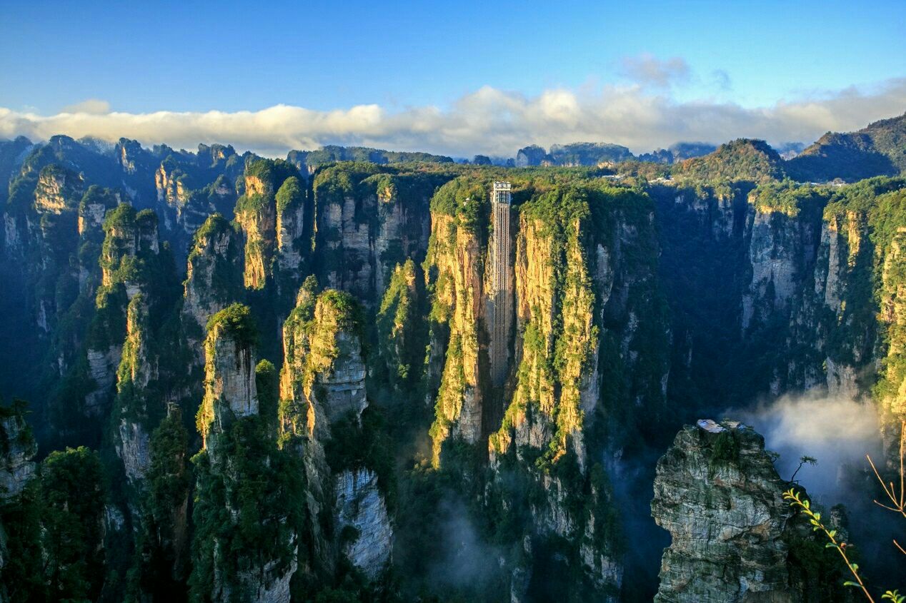 张家界国家森林公园是中国首批原始森林公园5a景区,门票248元一人